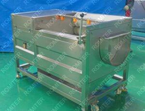 Brush Type Kiwi Fruit Washing Machine