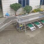 Rolling Bar Type Kiwi Fruit Size Sorting Machine
