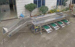 Rolling Bar Type Kiwi Fruit Size Sorting Machine