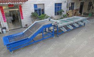 Drum Type Kiwi Fruit Size Grading Sorting Machine